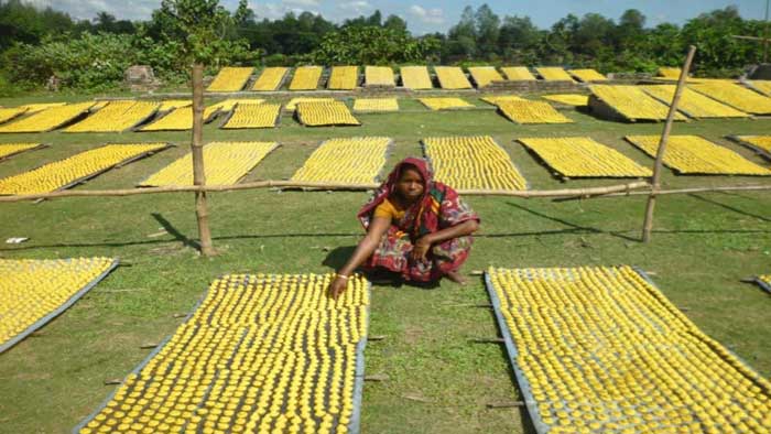 সিরাজগঞ্জে কুমড়া বড়ির দাম নিয়ে হতাশ কারিগররা