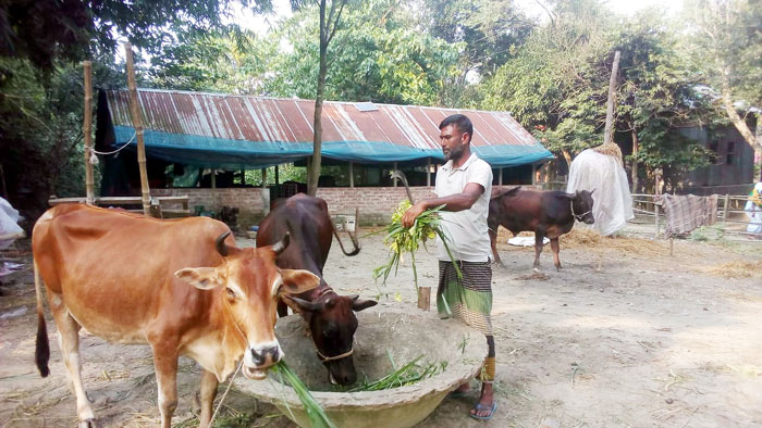 বকশিগঞ্জে ৩ লাখ টাকার খামার পৌঁছেছে ২০ লাখ টাকায়!