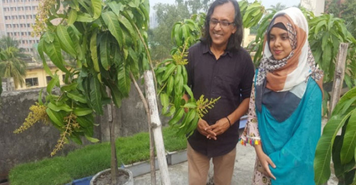 সৈকতে বারোমাসি আম, ফলবে ছাড়া বছর