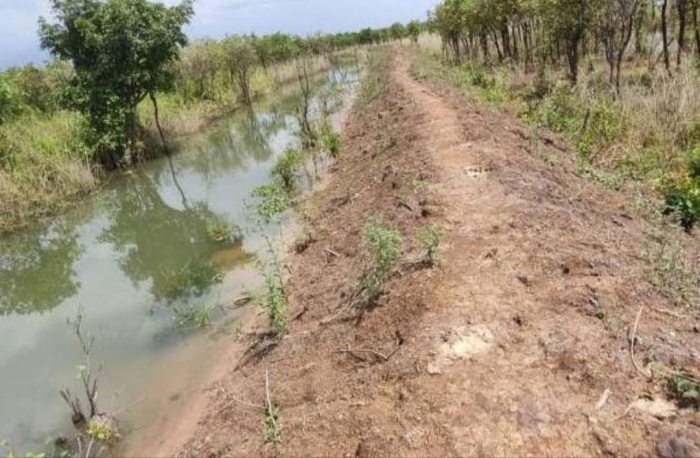 হাকালুকি হাওরের জলজ বৃক্ষ নিধনের মামলার কোনো অগ্রগতি নেই
