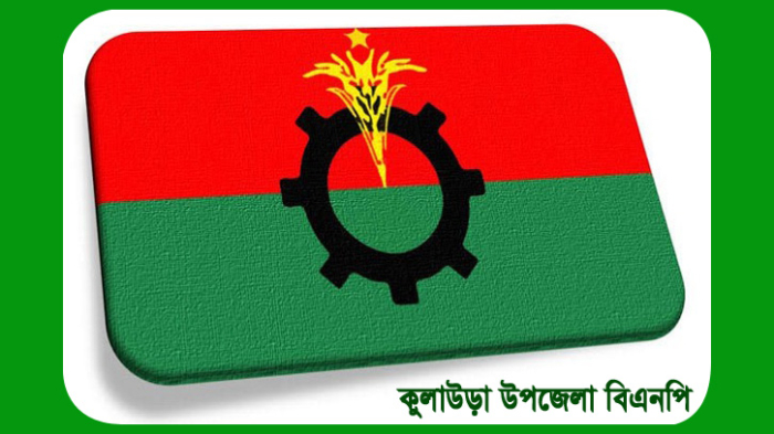 নৌকা প্রার্থীর মনোনয়ন কার্যক্রমে অংশগ্রহণে তিন বিএনপি নেতাকে বহিস্কার