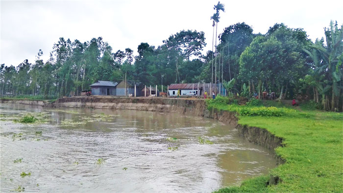 ব্রহ্মপুত্র নদের ভাঙনে বিলীন হচ্ছে জনবসতি পরিবারগুলো