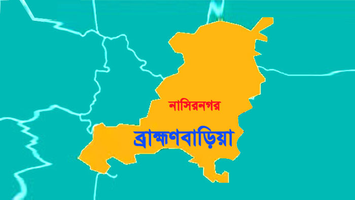 নাসিরনগরে ১৩ ইউনিয়নের বেশিরভাগেই স্বতন্ত্র প্রার্থী বিজয়ী