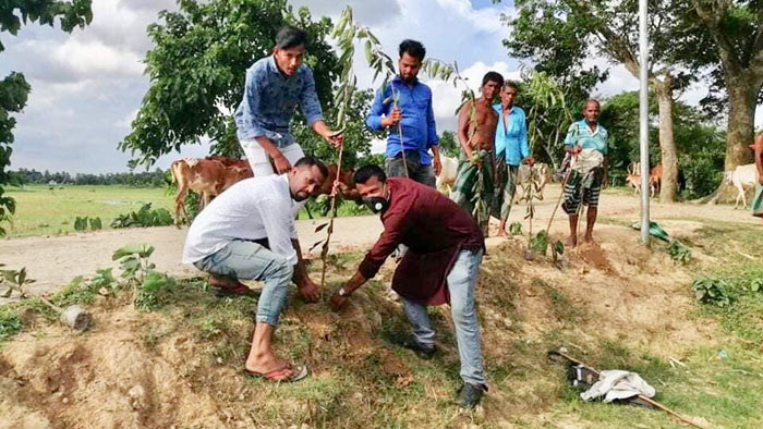 মাধবপুর উপজেলা কৃষকলীগের বৃক্ষরোপণ কর্মসূচি