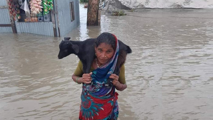 চাঁদপুরে পানি বৃদ্ধি পেয়ে পুরো শহর প্লাবিত