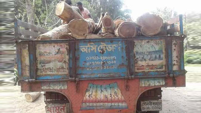 চুনারুঘাটে ২ লক্ষ টাকার চোরাই সেগুন কাঠ আটক