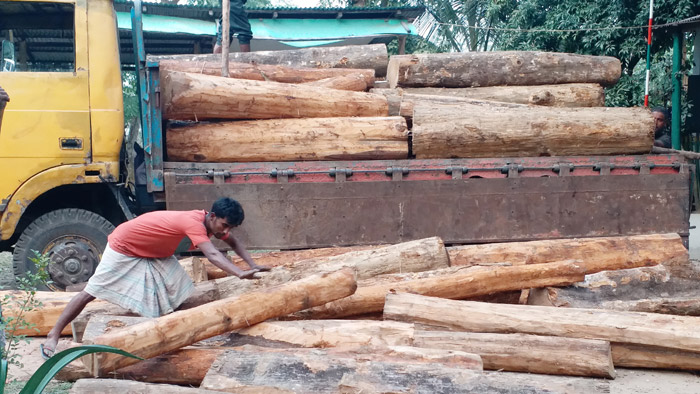চুনারুঘাটে ৫ লাখ টাকা মূল্যের চোরাই সেগুন কাঠ আটক