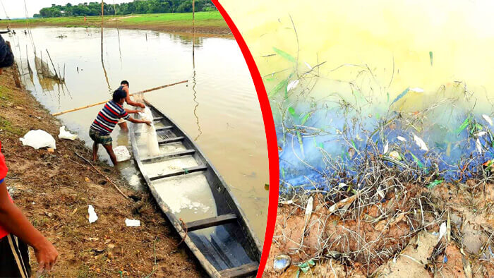 বিষ আর জালের ফাঁদে ফানাই নদী