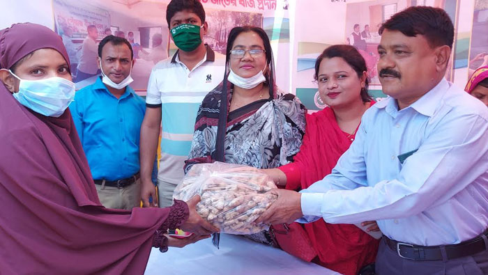ইসলামপুরে বিআরডিবি&rsquo;র উদ্যোগে আদা বীজ বিতরণ