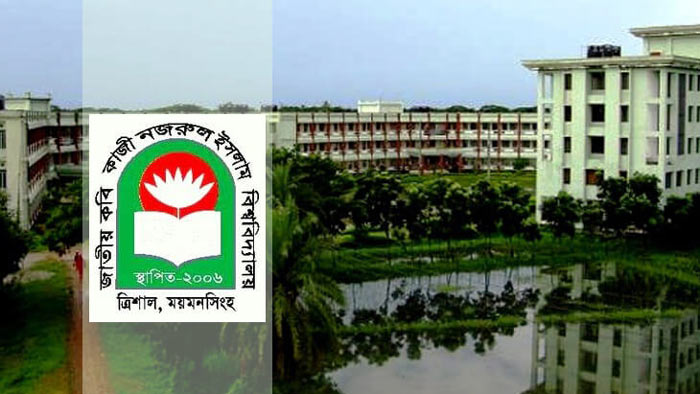 ভার্চুয়াল ক্লাসে ভিন্নমত নজরুল বিশ্ববিদ্যালয়ে