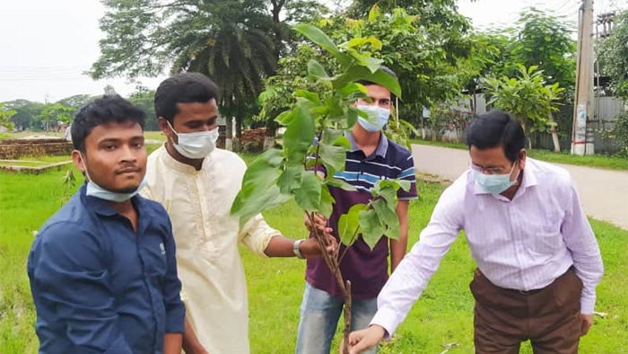 জাককানইবি&rsquo;তে বিশ্ববিদ্যালয় সাংবাদিক সমিতির বৃক্ষরোপণ কর্মসূচি