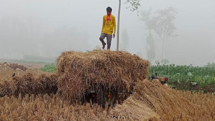 শীতেও থেমে নেই জীবনযাত্রা