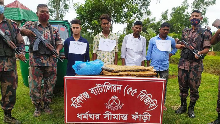 মাধবপুর ভারতীয় গাঁজাসহ ৪ চোরাকারবারি আটক