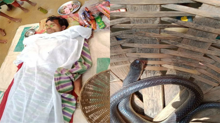 মাধবপুরে সাপের কামড়ে প্রাণ গেল চা শ্রমিকের