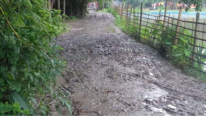 সুন্দরগঞ্জে গ্রামীণ রাস্তাগুলোর বেহাল অবস্থা