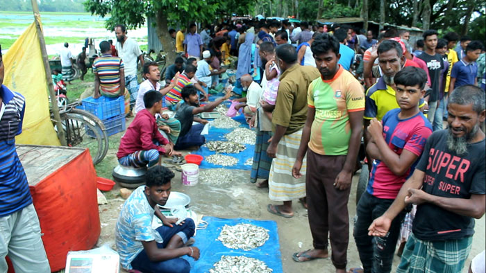 বাঁধে মাছ ধরার উৎসব হাজার মানুষের মেলা