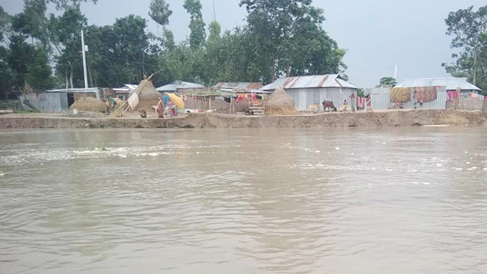 বন্যার পানি কমায় তিস্তায় ভাঙন বৃদ্ধি