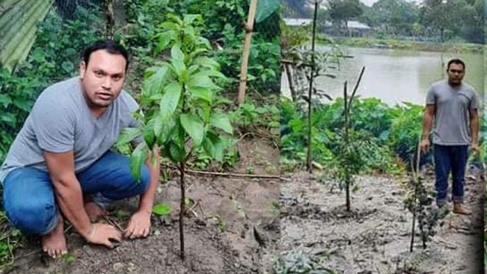ত্রিশালে ছাত্রলীগ নেতার বৃক্ষ রোপণ কর্মসূচি পালন
