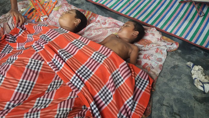 বকশিগঞ্জে পুকুরে ডুবে ২শিশুর মৃত্যু