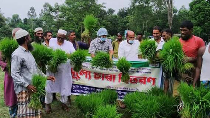 বকশীগঞ্জে বিনামূল্যে রোপা আমন ধানের চারা বিতরণ