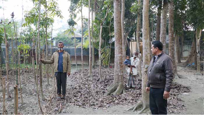 জামালপুরে খড়খরিয়া গ্রামে ভূমি জবর দখলের চেষ্টা