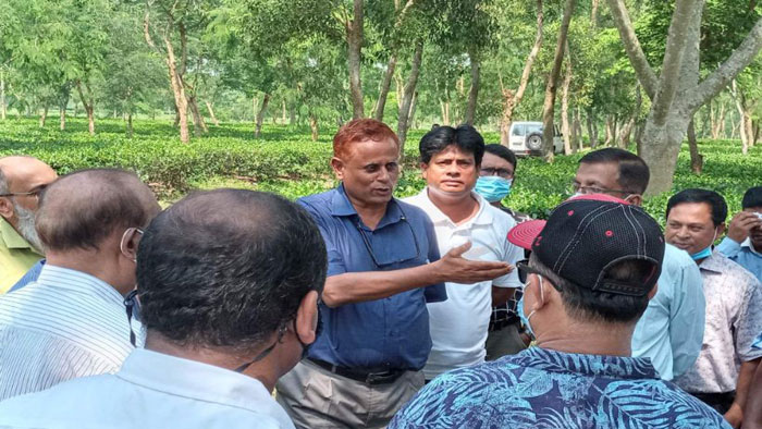 মাধবপুরে জৈব পদ্ধতিতে পরিবেশ বান্ধব চা উৎপাদন বিষয়ক সেমিনার