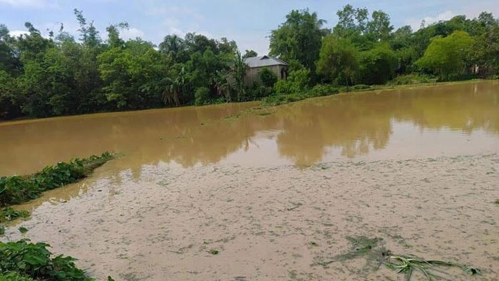 মাধবপুরে অতি বৃষ্টিতে ব্যাপক ক্ষয়ক্ষতি