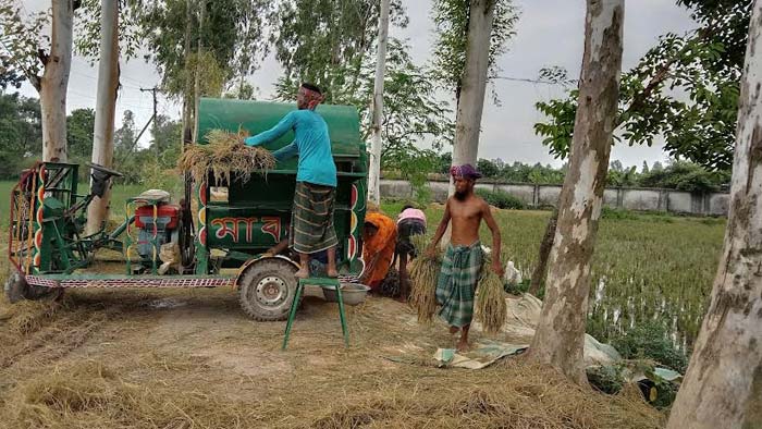 আউশধানে বাম্পার ফলনে কৃষকের মুখে হাসি