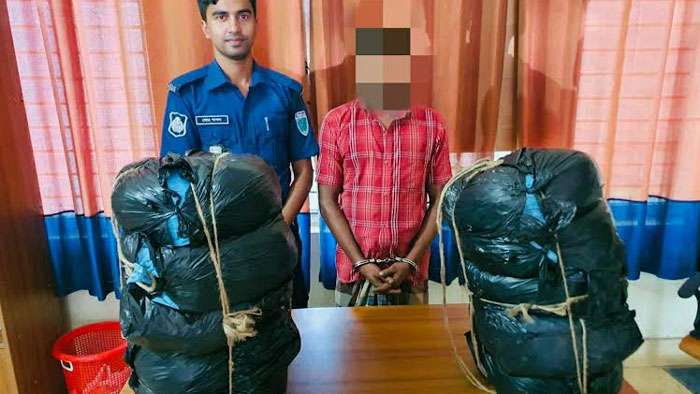 মাধবপুরে বিপুল পরিমাণ গাঁজাসহ পাচারকারী আটক ১