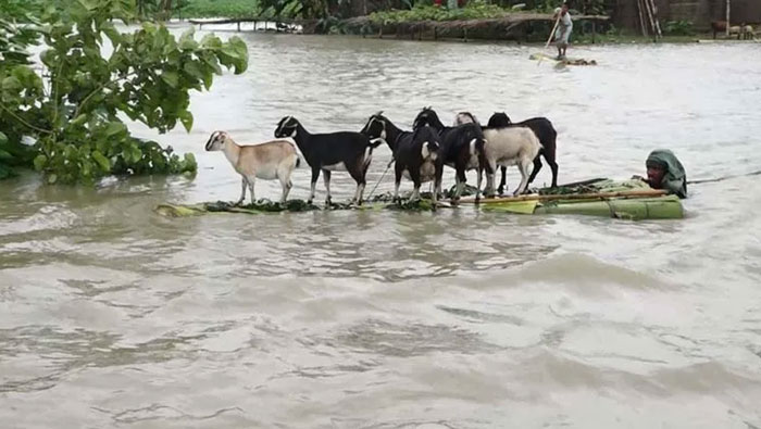হবিগঞ্জের হাওরাঞ্চলে এখনও পানিবন্দি কয়েক লাখ মানুষ