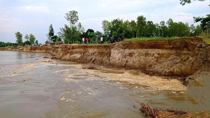 ইসলামপুরে যমুনা নদী ভাঙ্গন অব্যাহত