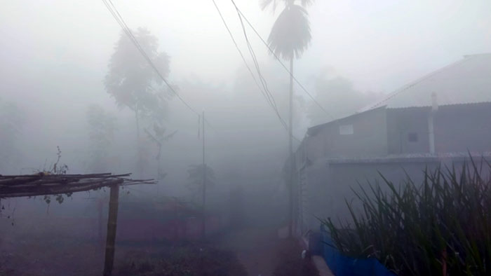 নীলফামারিতে যেমন ঠান্ডা তেমন কুয়াশা