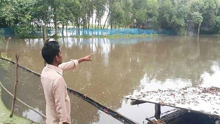 সিলেটে এবার বন্যায় তছনছ করে দিয়েছে মৎস্য খামার