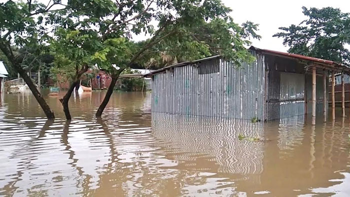 দোয়ারাবাজারে ভয়াবহ বন্যায় রাস্তা-ঘাট ফসল ও জানমালের ব্যাপক ক্ষয়ক্ষতি