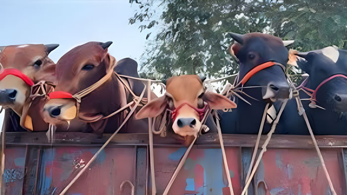 ঈদযাত্রায় যানজট কমাতে যেসকল সিদ্ধান্ত নিল সরকার