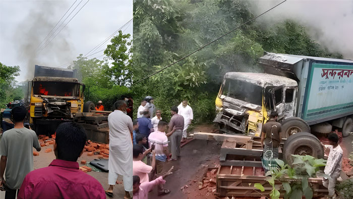 সড়ক দুর্ঘটনায় সুন্দরবন কুরিয়ার সার্ভিসের গাড়িতে আগুন, আহত ৫