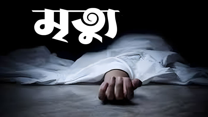 বাবাসহ দুই ভাইয়ের প্রহারে দিনমজুরের মৃত্যু
