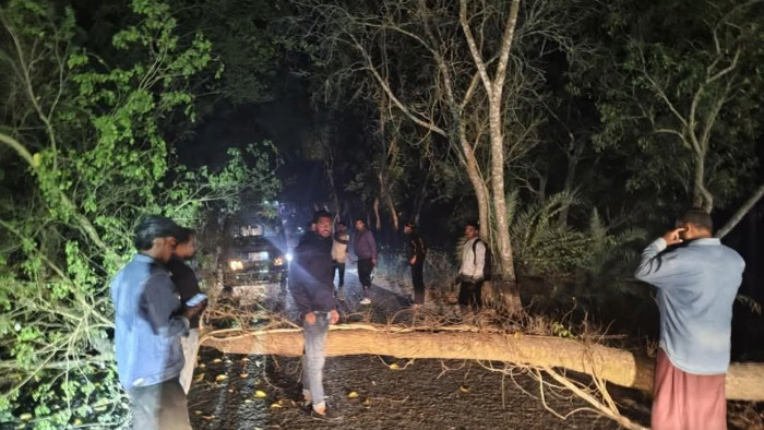 নওগাঁর পত্নীতলায় সড়কে গাছ ফেলে দুর্বৃত্তদের তাণ্ডব, পুলিশের দাবি ছিনতাই