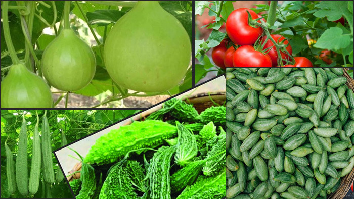 এই গরমে শরীরকে আরাম দেয় যেসব খাবার
