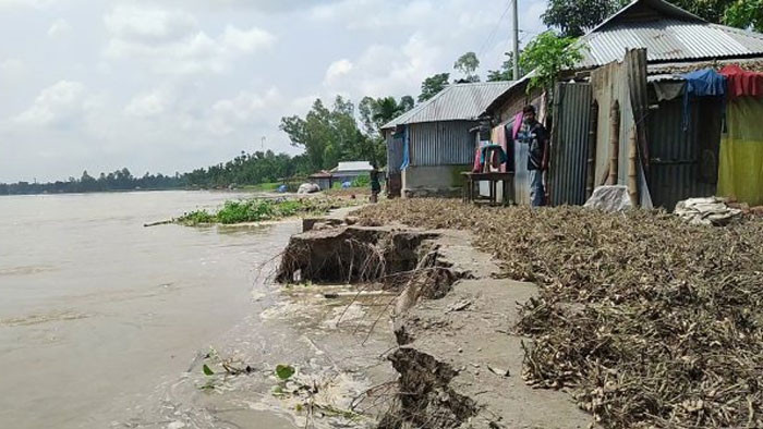 কুড়িগ্রামে নদীগর্ভে বিলীন একের পর এক বসতভিটা, তীরবর্তী মানুষের বুকফাটা কান্না