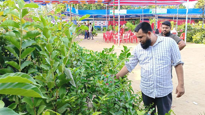 নওগাঁতে গাছের সমারোহ: শুরু হলো সাত দিনব্যাপী বৃক্ষমেলা