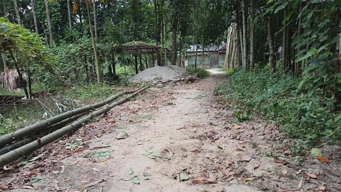 উলিপুর পৌরসভার রাস্তাটির বেহাল দশা, নেই কতৃপক্ষের নজরদারি