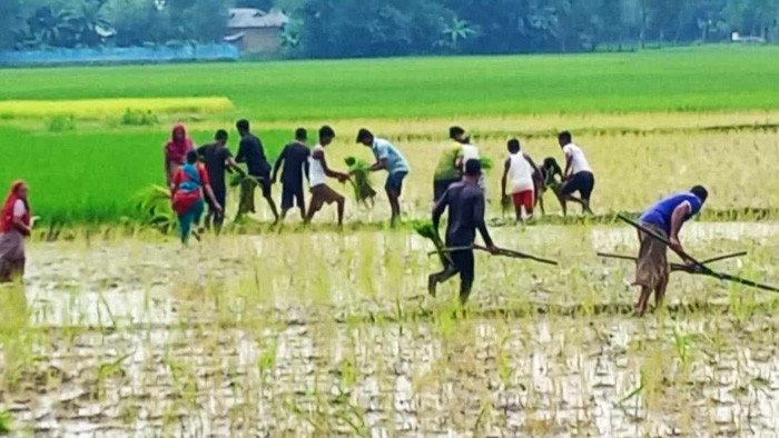 জোরপূর্বক জমি দখলের চেষ্টা, দুই গ্রুপের ধাওয়া-পাল্টা ধাওয়া
