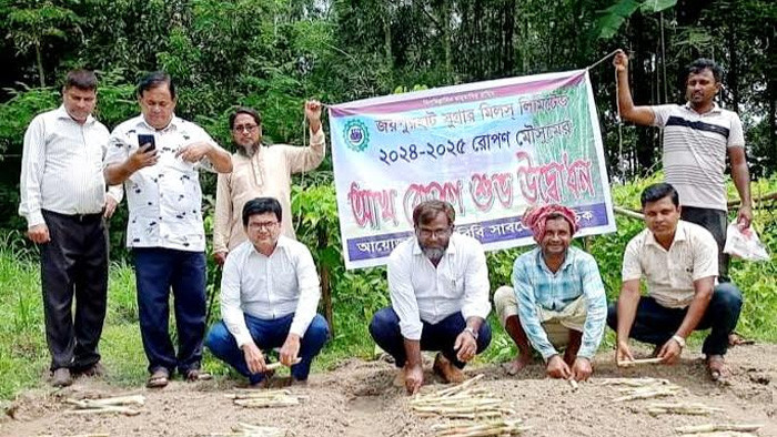 জয়পুরহাট সুগার মিলের আখ রোপন কার্যক্রমের উদ্বোধন