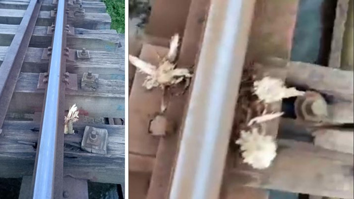 জামালপুরে রেলসেতুতে লোহার স্লিপার ক্লিপের বদলে বাঁশ!