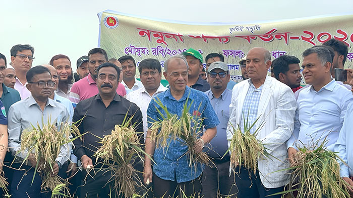 দেশে কোন খাদ্য সংকট হবে না- কৃষি উপদেষ্টা