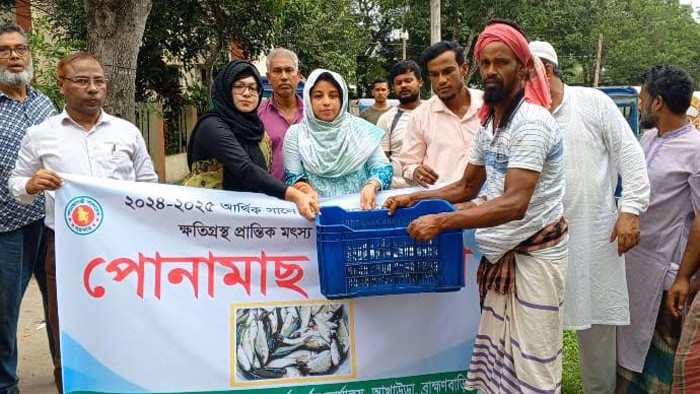 আখাউড়ায় বন্যায় ক্ষতিগ্রস্থদের মাঝে মৎস্যপোনা বিতরণ
