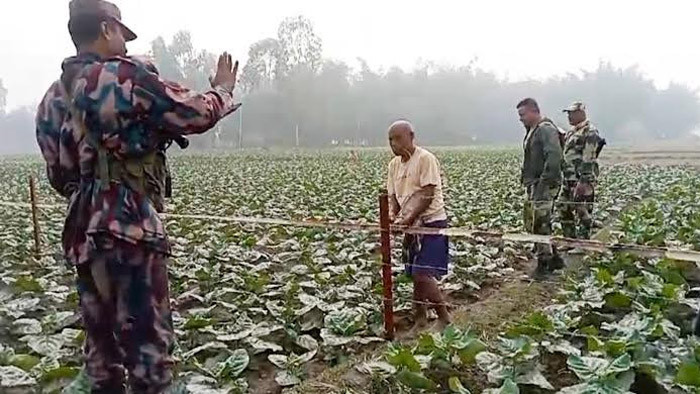 লালমনিরহাটে দহগ্রাম সীমান্তে কাঁটাতারের বেড়ায় বাঁশ লাগালো বিএসএফ