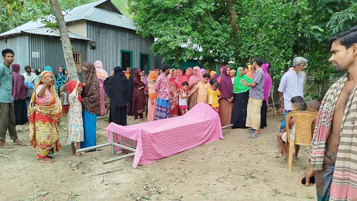 ঘাটাইলে বজ্রপাতে একজন নিহত