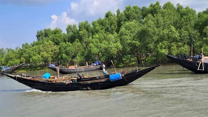 দুবলারচরে শুঁটকি জেলেদের জীবনে স্থবিরতা